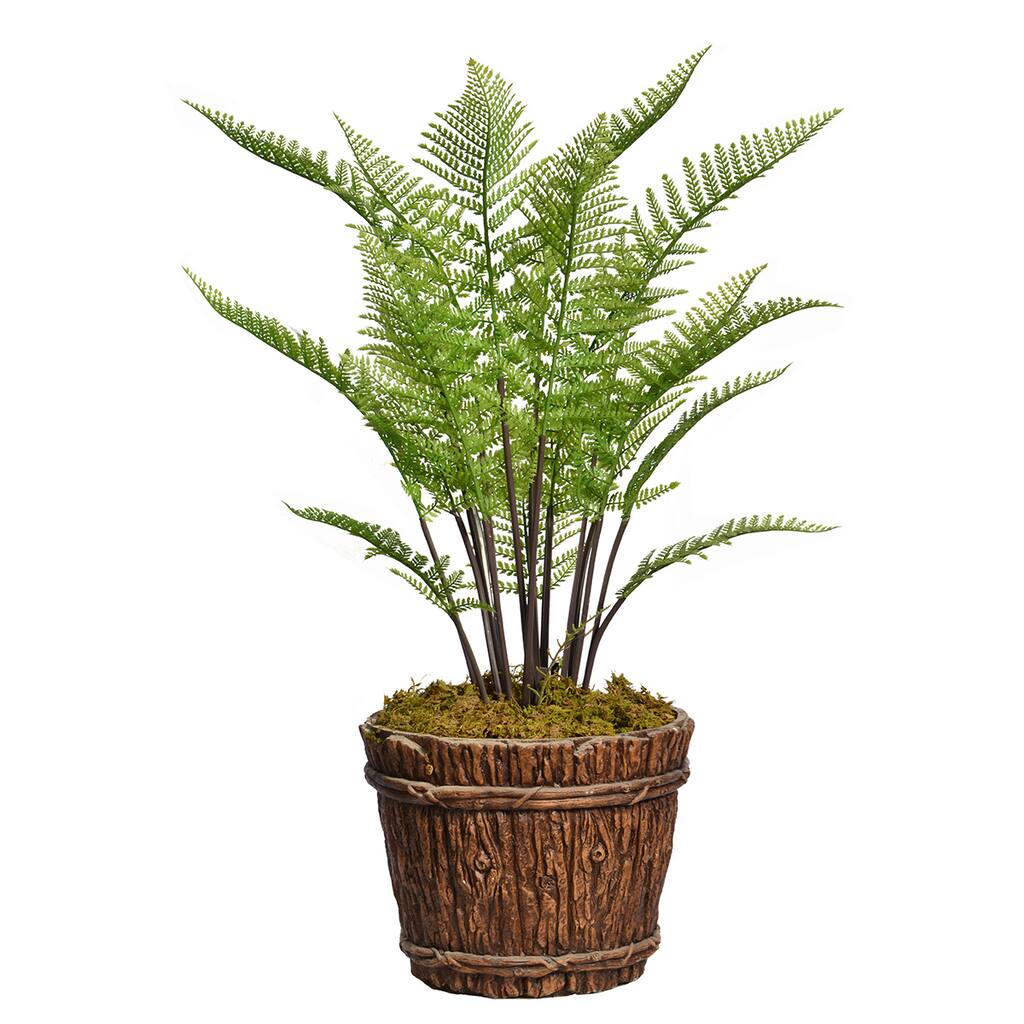 48" Tall Fern Plant with Burlap Kit and Fiberstone planter - OS