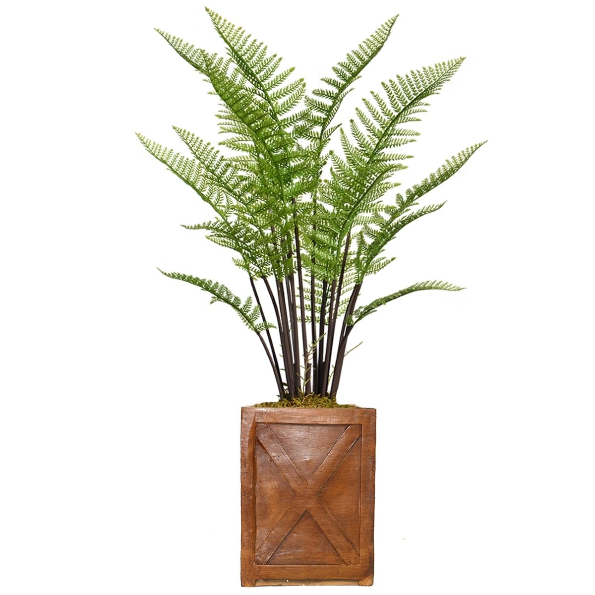 51 Tall Fern Plant With Burlap Kit And Fiberstone Planter Overstock