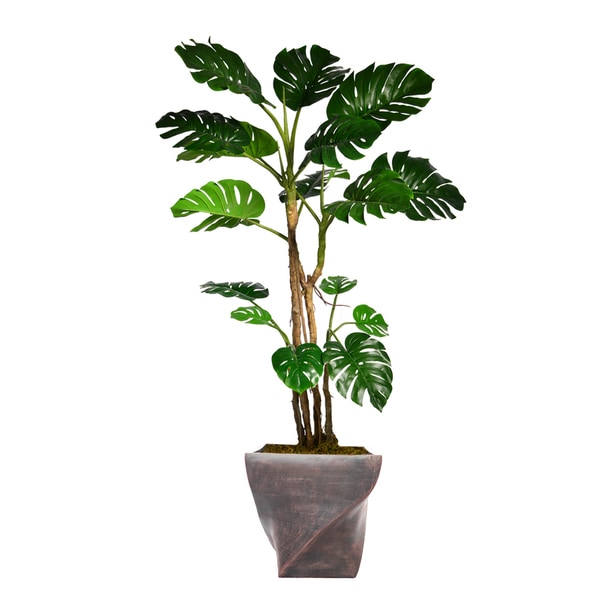 76.8" Tall Monstera with Burlap Kit and Fiberstone planter