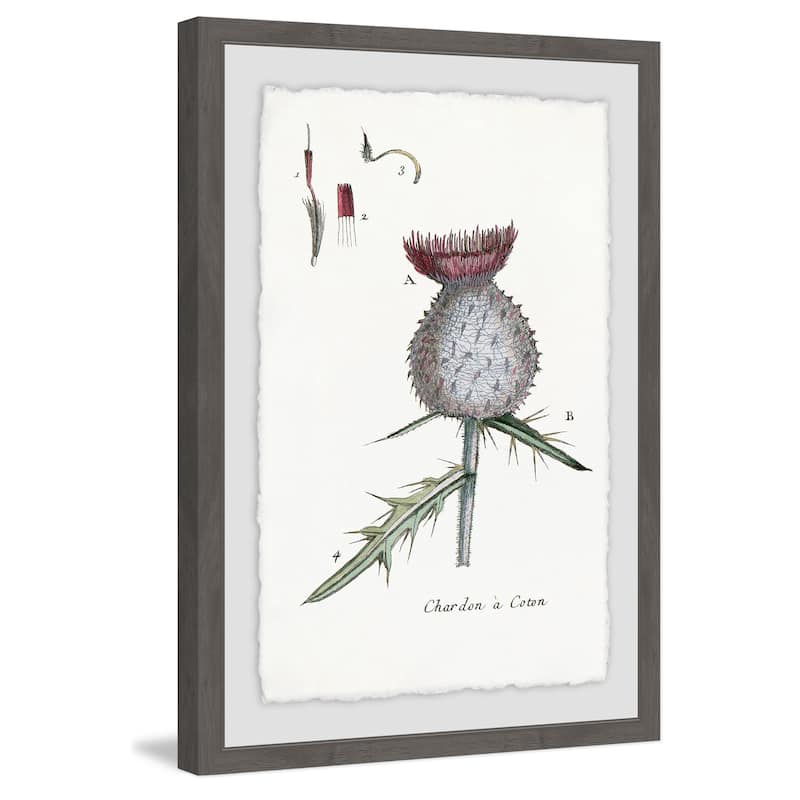 'Inspire Me with Plant' Framed Painting Print - Multi-Color