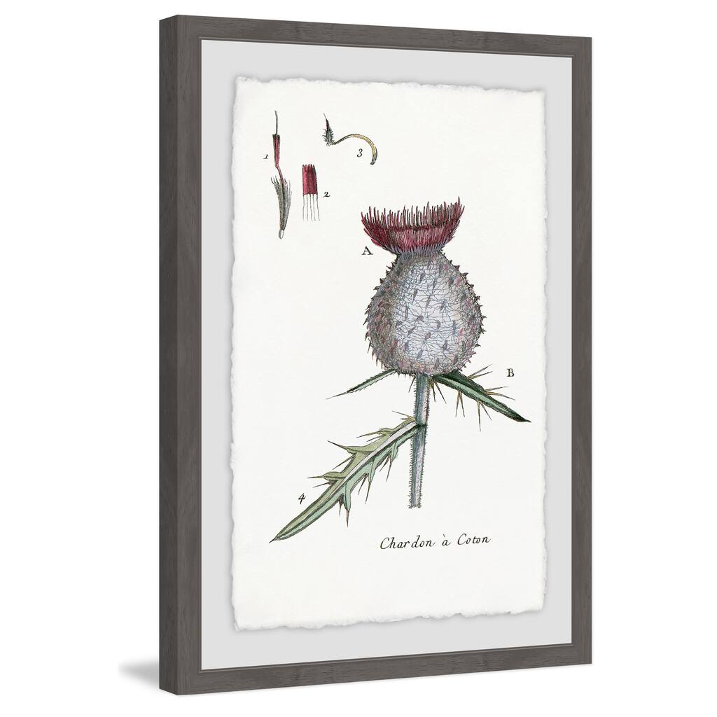 'Inspire Me with Plant' Framed Painting Print - Multi-Color