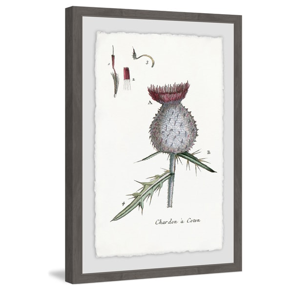 Marmont Hill - Handmade Inspire Me with Plant Framed Print. Opens flyout.