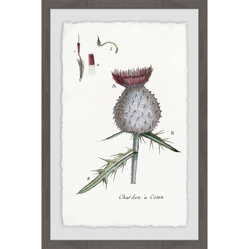 'Inspire Me with Plant' Framed Painting Print - Multi-Color