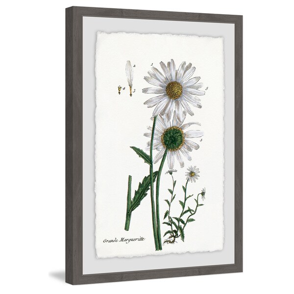 Marmont Hill - Handmade White Daisy III Framed Print. Opens flyout.