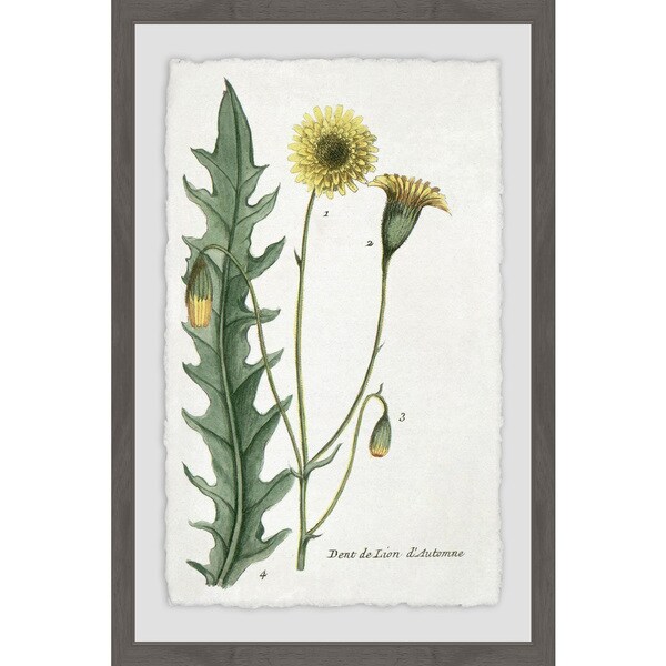 Marmont Hill - Handmade Dandelion Framed Print. Opens flyout.
