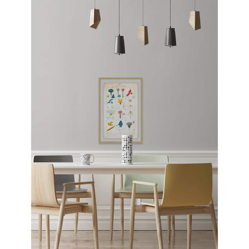 'Flower Types' Framed Painting Print - Multi-Color