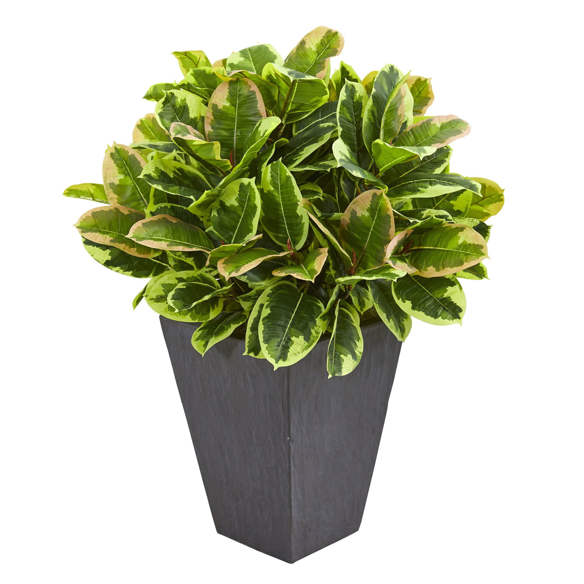 product-thumb