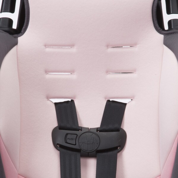 cosco 2 in 1 booster car seat