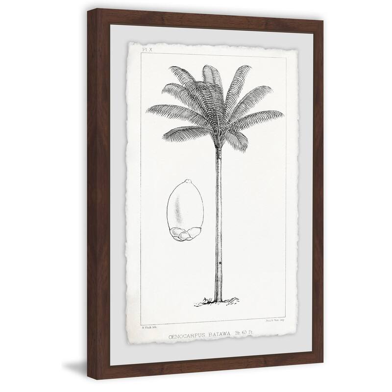 'Amazon Palm Tree' Framed Painting Print - Multi-Color