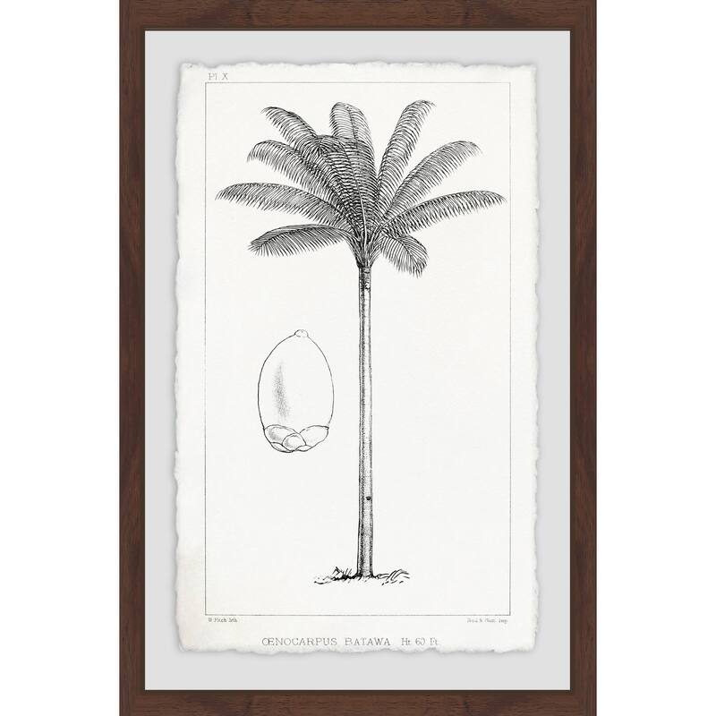 'Amazon Palm Tree' Framed Painting Print - Multi-Color
