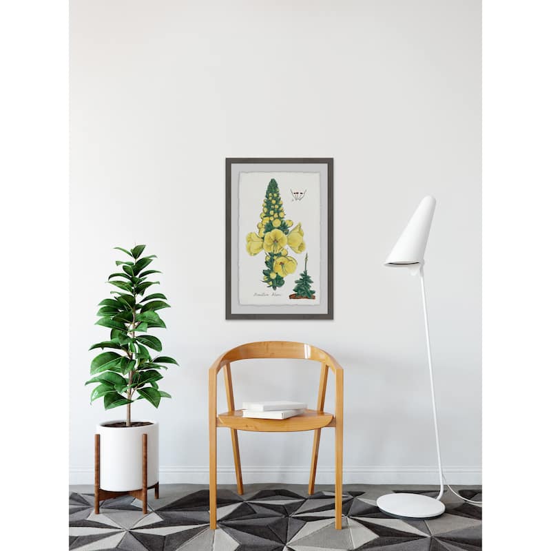 'Yellow Monkshood' Framed Painting Print - Multi-Color