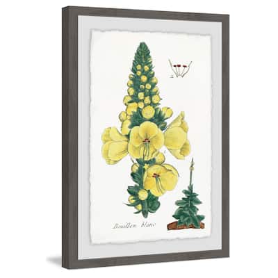 'Yellow Monkshood' Framed Painting Print - Multi-Color