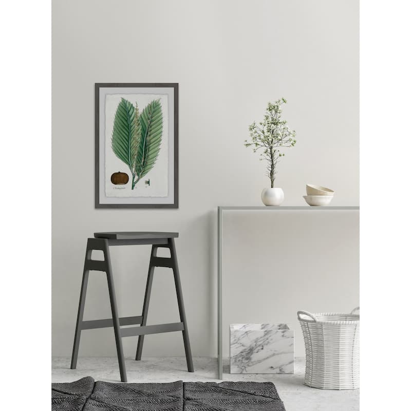 'Flore des Environs de Paris' Framed Painting Print - Multi-Color