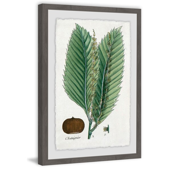 Marmont Hill - Handmade Flore des Environs de Paris Framed Print. Opens flyout.