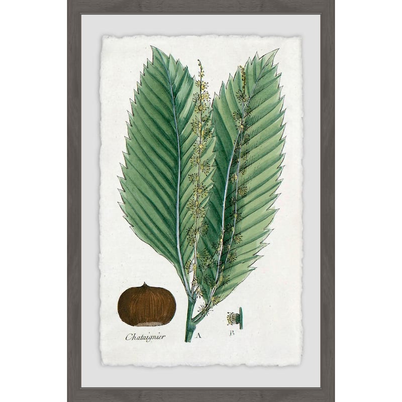 'Flore des Environs de Paris' Framed Painting Print - Multi-Color