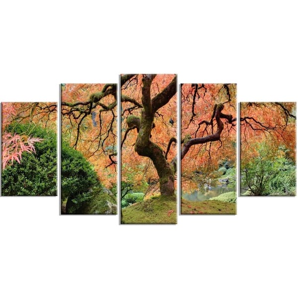 Phase1 Designart 'Old Japanese Maple Tree' Landscape Photography Metal ...