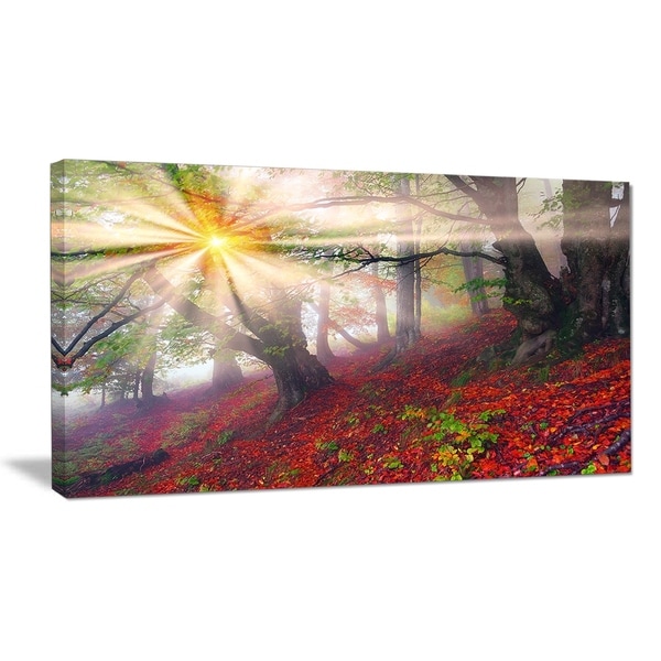 Premium Glasbild AG5705000819 DEKO 50 x 70 cm LILIE FLORAL SEPIA