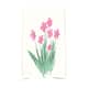 Option Pink
