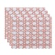 Option Coral