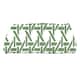 Option Green