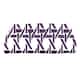 Option Purple