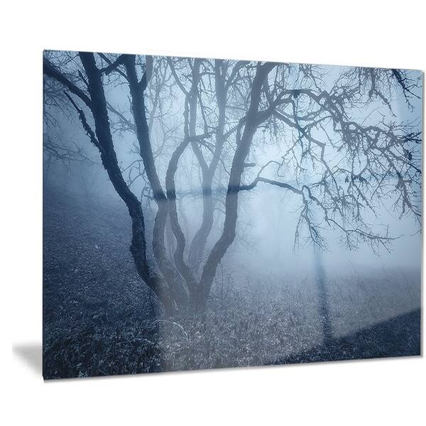 Designart Big Trees in Dark Foggy Forest - Landscape Photography