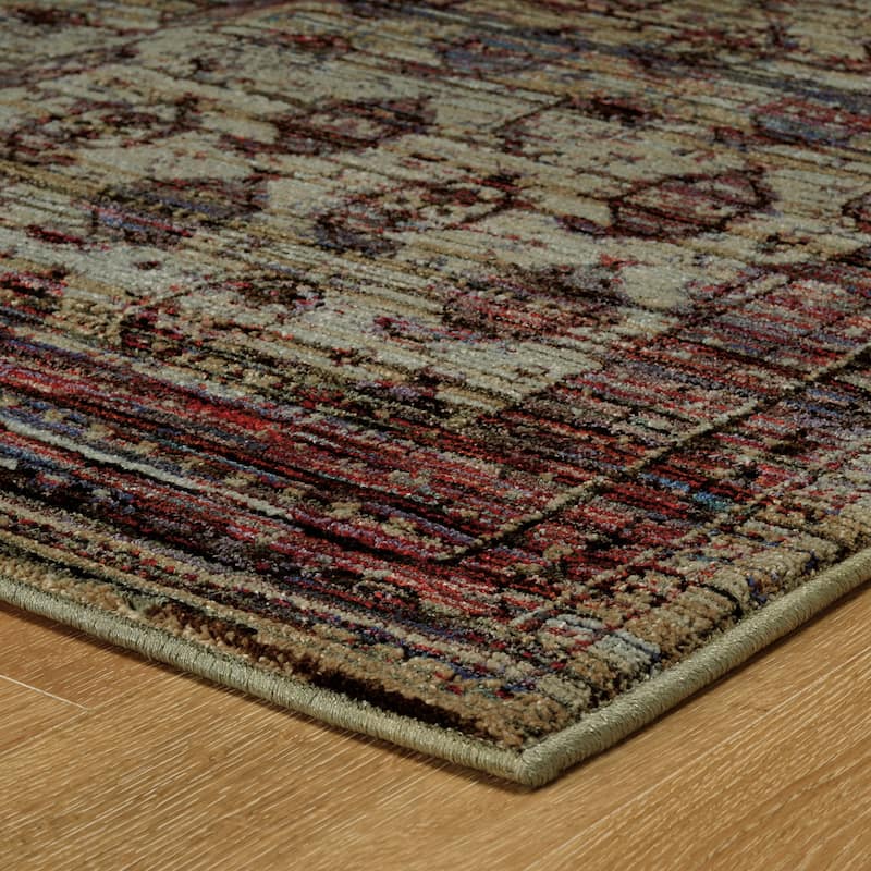 Style Haven Adalynn Distressed Border Panel Area Rug
