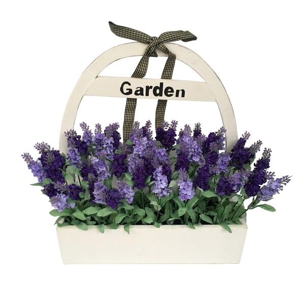 LAVENDAR WOOD POTTED