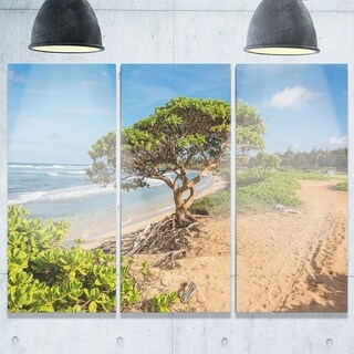 Green Tree on Beach in Kauai Hawaii - Contemporary Seascape Metal Wall