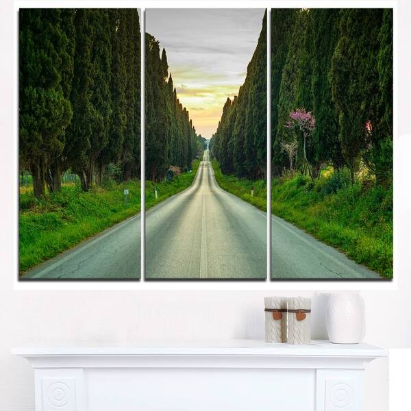 Straight Road through Cypress Trees Oversized Landscape Wall Art