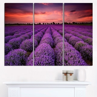 Red Sunset Over Lavender Field - Extra Large Wall Art Landscape - Bed ...