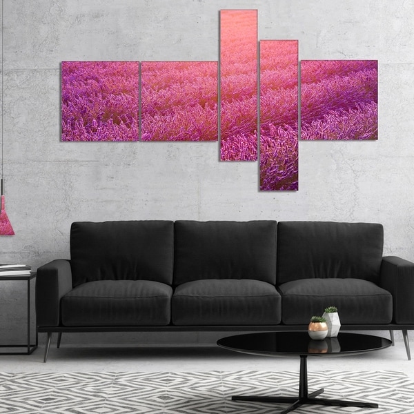 Designart 'Lavender Field and Ray of Light' Floral Canvas Art Print