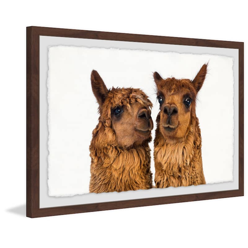 'Brown Llama Pair' Framed Painting Print - Multi-Color