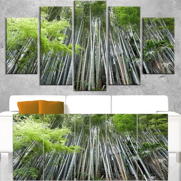 Dense Bamboo Forest of Japan - Forest Canvas Wall Art Print