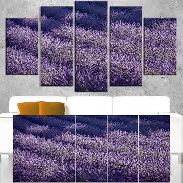 Lavender Field and Ray of Light - Oversized Landscape Wall Art Print