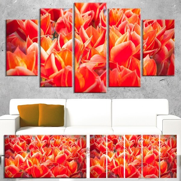 Designart 'Tulip Flowers in the Keukenhof Park' Modern Floral Wall Artwork