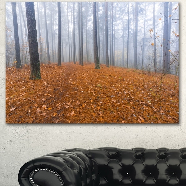 Designart 'Foggy Forest and Fallen Leaves' Modern Forest Canvas Art
