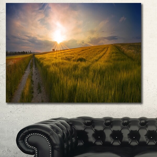 Designart 'Sunset in Field of Grain Panorama' Large Landscape Canvas Art Print