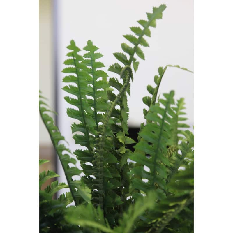 42 Leaves Artificial Greenery Boston Fern Bush, Dark Green - GG4613-DK.GN