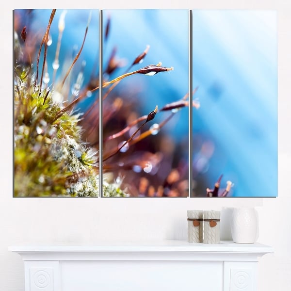 Abstract Moss Flowers in Summer Spring - Landscape Art Print Canvas