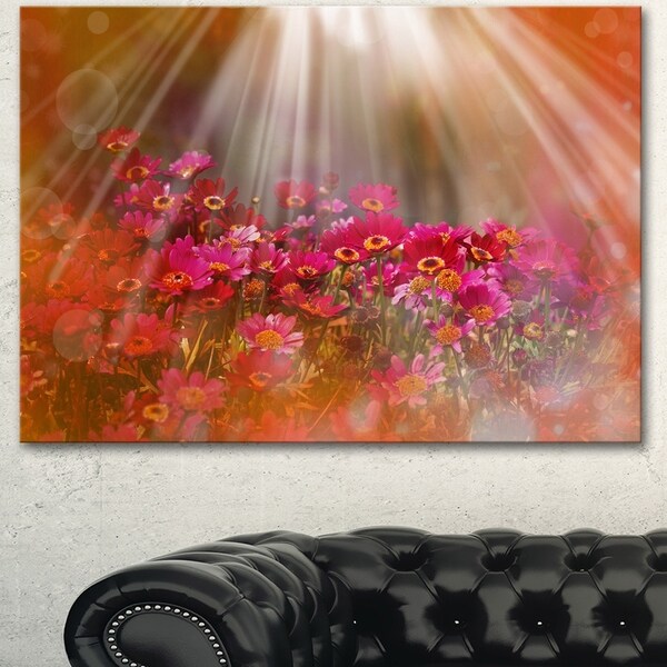 Designart 'Sunlight over Garden with Flowers' Large Floral Canvas Artwork