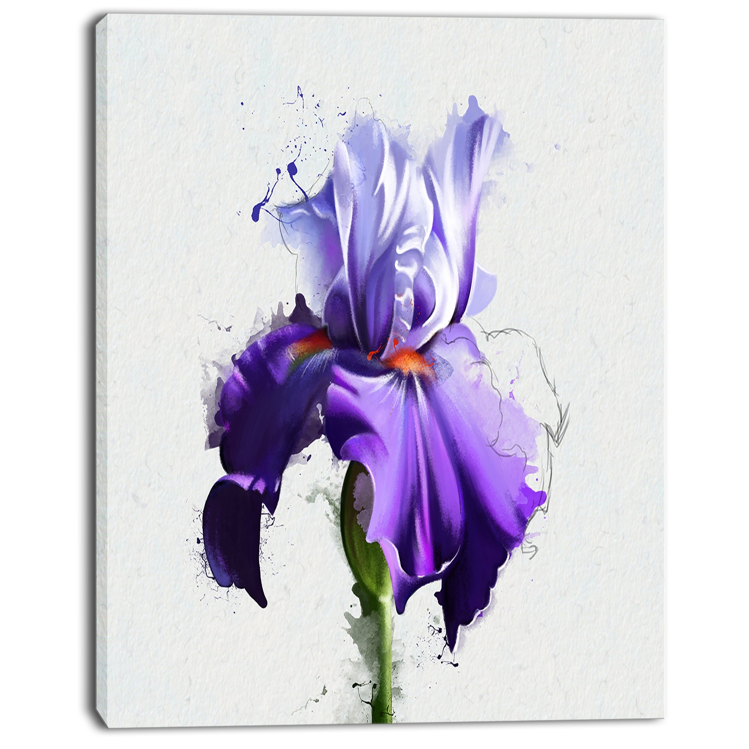 Iris x graphics. Ирисы референс. Ирис скетч акварель. Ирисы скетчинг. Ирисы маркерами.