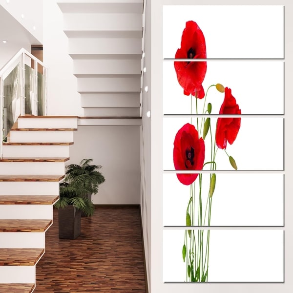 Designart 'Isolated Red Poppy Flowers' Modern Floral Artwork on Canvas