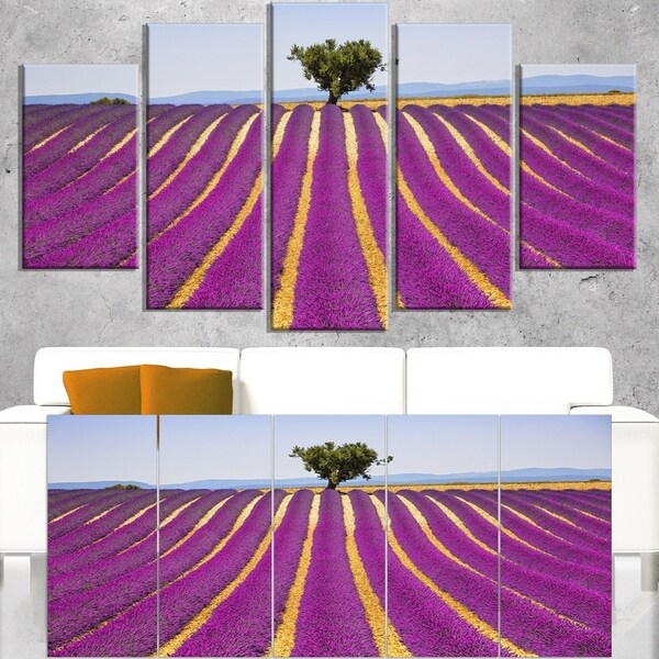 Lavender and Lonely Tree Uphill - Oversized Landscape Wall Art Print