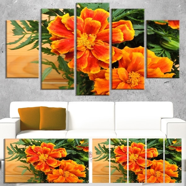 Designart 'Marigold Flower on Wooden Background' Floral Canvas Artwork Print