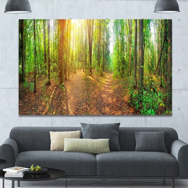 Designart 'Dense Forest Panorama' Landscape Canvas Wall Artwork
