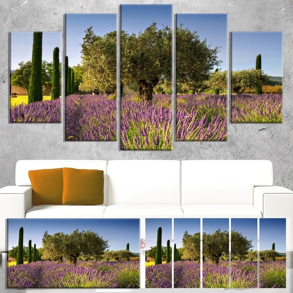 Designart 'Beautiful Lavender and Olive Trees' Large Flower Canvas Wall Art