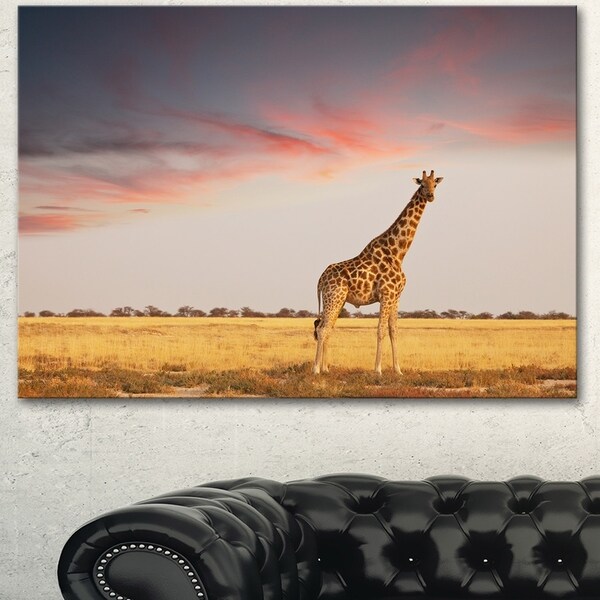 Designart 'Single Giraffe in Savannah' African Canvas Artwork