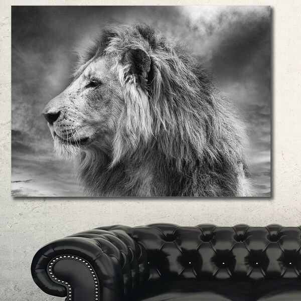 Designart 'Grey Wild African Lion' Modern Animal Canvas Art