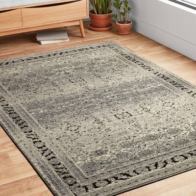Buy Polyester Area Rugs Clearance Liquidation Online At Overstock Our Best Rugs Deals